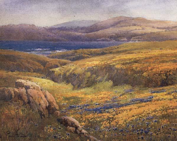 unknow artist Point Lobos in the Springtime China oil painting art